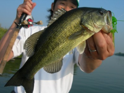 プロショップオオツカ・バスフィッシング用品専門サイト ブログ写真 2009/05/28