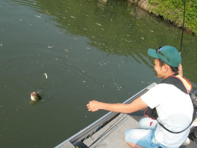 プロショップオオツカ・バスフィッシング用品専門サイト ブログ写真 2009/05/28