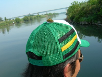 プロショップオオツカ・バスフィッシング用品専門サイト ブログ写真 2009/05/28