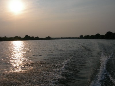 プロショップオオツカ・バスフィッシング用品専門サイト ブログ写真 2009/05/28