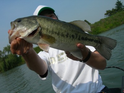 プロショップオオツカ・バスフィッシング用品専門サイト ブログ写真 2009/05/28