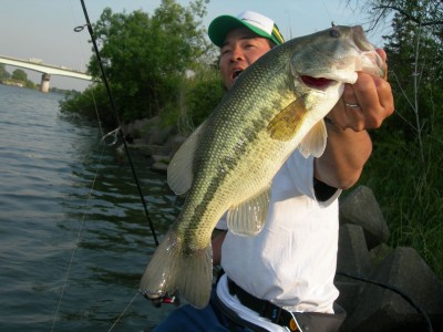 プロショップオオツカ・バスフィッシング用品専門サイト ブログ写真 2009/05/28