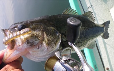 プロショップオオツカ・バスフィッシング用品専門サイト ブログ写真 2009/05/29