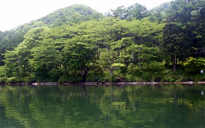 プロショップオオツカ・バスフィッシング用品専門サイト ブログ写真 2009/05/29