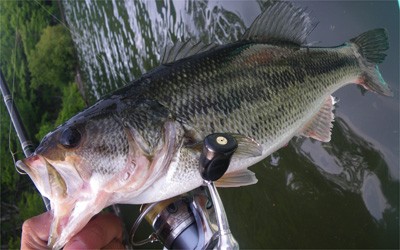 プロショップオオツカ・バスフィッシング用品専門サイト ブログ写真 2009/05/29