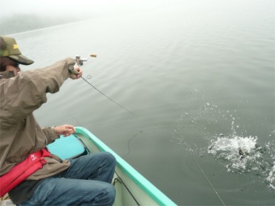 プロショップオオツカ・バスフィッシング用品専門通販サイト ブログ写真 2009/06/18