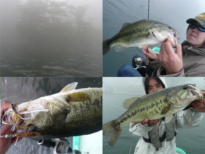 プロショップオオツカ・バスフィッシング用品専門通販サイト ブログ写真 2009/06/18