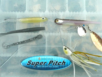 プロショップオオツカ・バスフィッシング用品専門通販サイト ブログ写真 2009/06/18