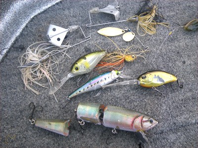 プロショップオオツカ・バスフィッシング用品専門通販サイト ブログ写真 2009/06/24