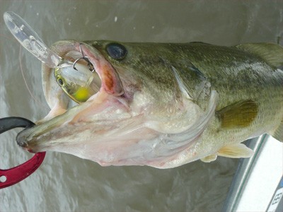 プロショップオオツカ・バスフィッシング用品専門通販サイト ブログ写真 2009/06/24