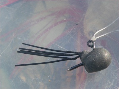 プロショップオオツカ・バスフィッシング用品専門通販サイト ブログ写真 2009/06/24