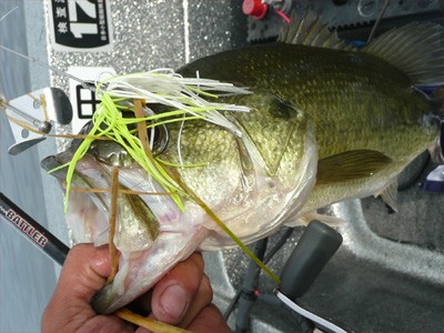 プロショップオオツカ・バスフィッシング用品専門通販サイト ブログ写真 2009/06/24