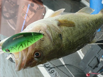 プロショップオオツカ・バスフィッシング用品専門通販サイト ブログ写真 2009/06/24