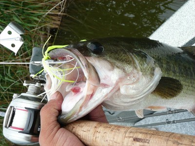 プロショップオオツカ・バスフィッシング用品専門通販サイト ブログ写真 2009/06/24