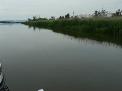 プロショップオオツカ・バスフィッシング用品専門通販サイト ブログ写真 2009/06/24