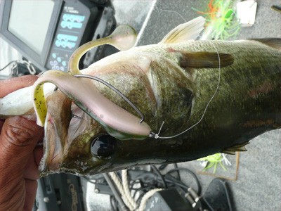 プロショップオオツカ・バスフィッシング用品専門通販サイト ブログ写真 2009/06/24