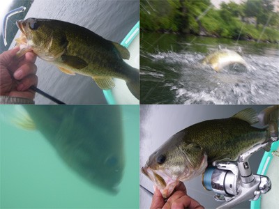 プロショップオオツカ・バスフィッシング用品専門通販サイト ブログ写真 2009/07/01