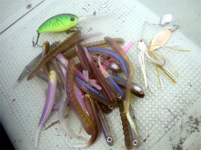 プロショップオオツカ・バスフィッシング用品専門通販サイト ブログ写真 2009/07/01