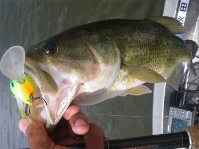 プロショップオオツカ・バスフィッシング用品専門通販サイト ブログ写真 2009/07/12