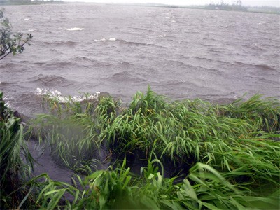 プロショップオオツカ・バスフィッシング用品専門通販サイト ブログ写真 2009/07/12