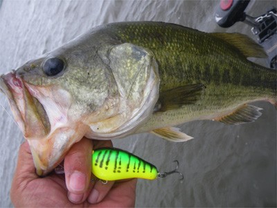 プロショップオオツカ・バスフィッシング用品専門通販サイト ブログ写真 2009/07/12