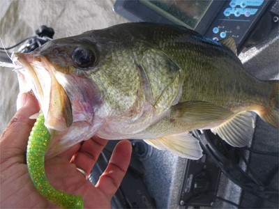 プロショップオオツカ・バスフィッシング用品専門通販サイト ブログ写真 2009/07/12