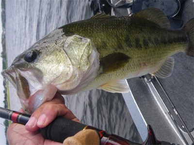 プロショップオオツカ・バスフィッシング用品専門通販サイト ブログ写真 2009/07/12