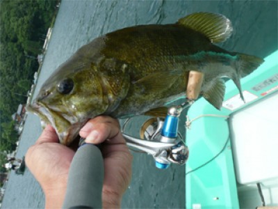 プロショップオオツカ・バスフィッシング用品専門通販サイト ブログ写真 2009/07/27