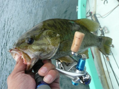 プロショップオオツカ・バスフィッシング用品専門通販サイト ブログ写真 2009/07/27