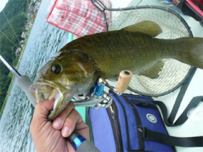 プロショップオオツカ・バスフィッシング用品専門通販サイト ブログ写真 2009/07/27