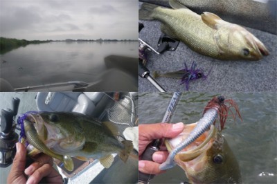 プロショップオオツカ・バスフィッシング用品専門通販サイト ブログ写真 2009/08/08