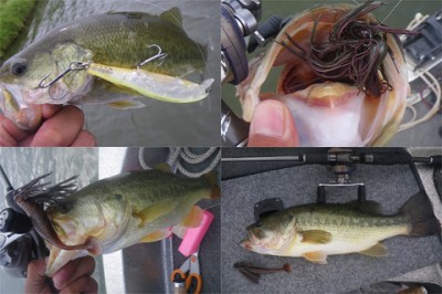 プロショップオオツカ・バスフィッシング用品専門通販サイト ブログ写真 2009/08/08