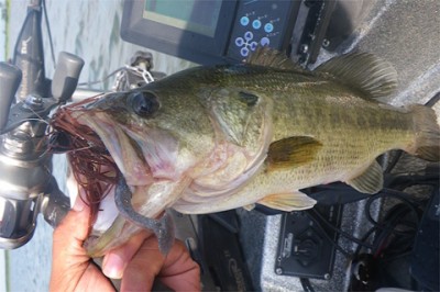 プロショップオオツカ・バスフィッシング用品専門通販サイト ブログ写真 2009/08/08