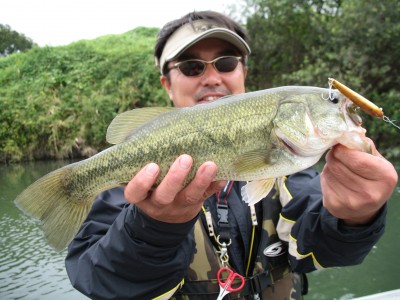 プロショップオオツカ・バスフィッシング用品専門通販サイト ブログ写真 2009/09/17