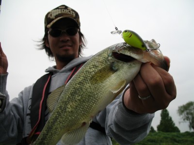 プロショップオオツカ・バスフィッシング用品専門通販サイト ブログ写真 2009/09/17