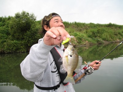 プロショップオオツカ・バスフィッシング用品専門通販サイト ブログ写真 2009/09/17