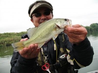 プロショップオオツカ・バスフィッシング用品専門通販サイト ブログ写真 2009/09/17