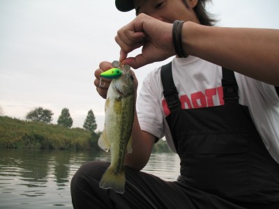 プロショップオオツカ・バスフィッシング用品専門通販サイト ブログ写真 2009/09/30