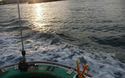 プロショップオオツカ・バスフィッシング用品専門通販サイト ブログ写真 2009/10/02