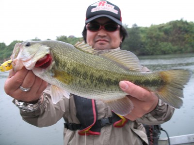 プロショップオオツカ・バスフィッシング用品専門通販サイト ブログ写真 2009/10/07