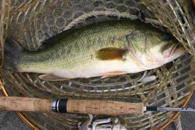 プロショップオオツカ・バスフィッシング用品専門通販サイト ブログ写真 2009/10/13