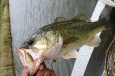 プロショップオオツカ・バスフィッシング用品専門通販サイト ブログ写真 2009/10/13