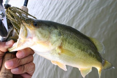 プロショップオオツカ・バスフィッシング用品専門通販サイト ブログ写真 2009/10/13