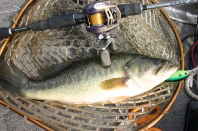 プロショップオオツカ・バスフィッシング用品専門通販サイト ブログ写真 2009/10/13