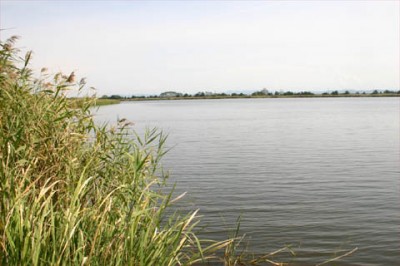 プロショップオオツカ・バスフィッシング用品専門通販サイト ブログ写真 2009/10/13