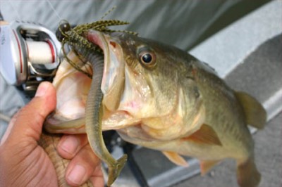 プロショップオオツカ・バスフィッシング用品専門通販サイト ブログ写真 2009/10/13