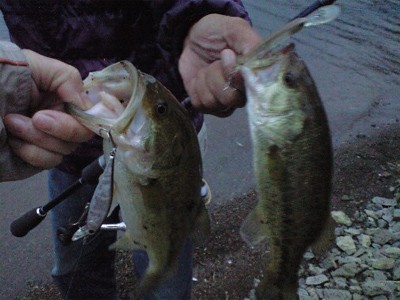 プロショップオオツカ・バスフィッシング用品専門通販サイト ブログ写真 2009/10/26