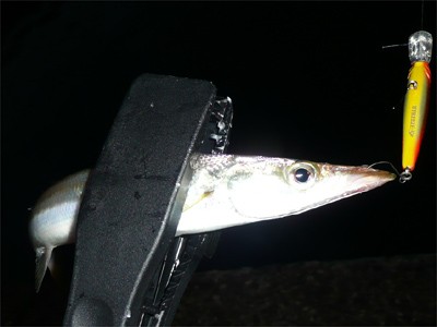 プロショップオオツカ・バスフィッシング用品専門通販サイト ブログ写真 2009/11/01