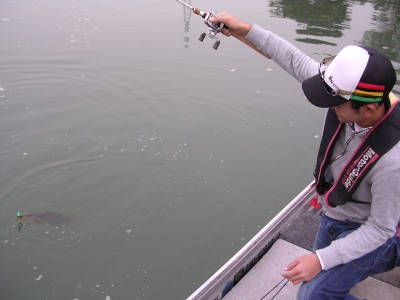 プロショップオオツカ・バスフィッシング用品専門通販サイト ブログ写真 2009/11/12