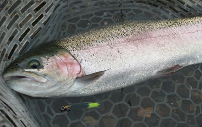 プロショップオオツカ・バスフィッシング用品専門通販サイト ブログ写真 2009/11/19